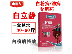 �׷۲����P������ˎ-�����o-СħŮ-���н�