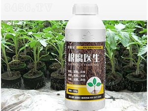 �����t��-СħŮ-���н�