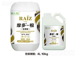 ������Ħ�ࡤ��-������