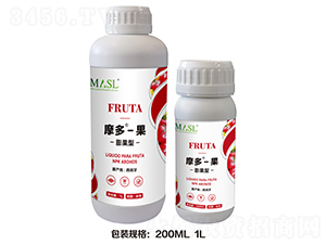 �����Ħ�ࡤ��-������