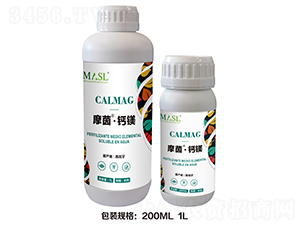 Ħ���}�V-������