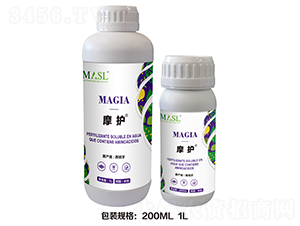 Ħ�o-������