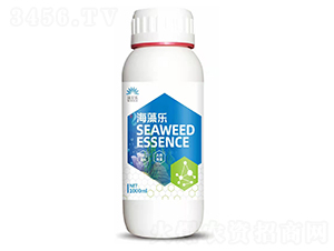 ���嘷-�֠���