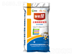 �����{���ޏ̈́�-����������