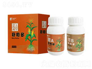 ���������׌��ø߮a�M��-����M��-������