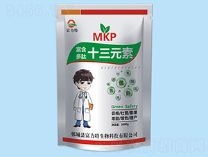 ��������ʮ��Ԫ��-������