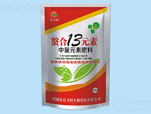 ����Ԫ�ط���-����13Ԫ��-������