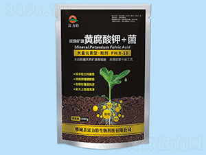 ̼ø�VԴ�S�����+��-������