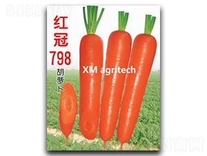 �t��798-���}���N��-���r�r�I