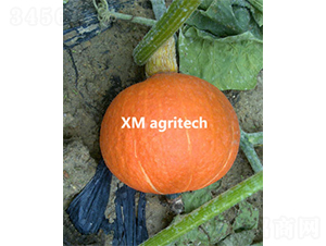 �_���t��-�ϹϷN��-���r(n��ng)�r(n��ng)�I(y��)