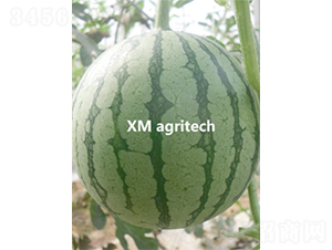 ���A-���ϷN��-���r�r�I