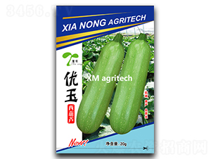 優玉-西葫蘆種子-夏農農業
