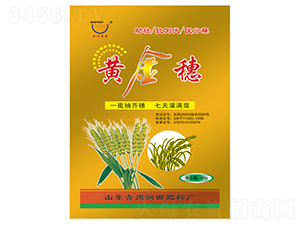 �S�����~���-��(r��n)�����