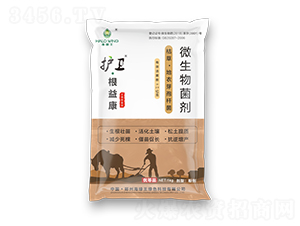 �o�l�����濵-���G��