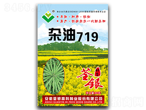 �s��719-�Ͳ˷N��-���y�߿�