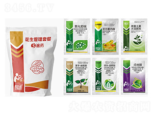 ���������ײ�3��ˎ-�������r