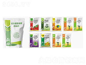 ���������ײ�2��ˎ-�������r