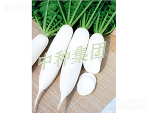 �L��1̖-�}���N��-�зN���F