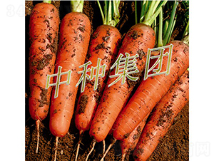 �зN989-���}���N��-�зN���F