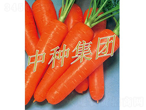 ����-���}���N��-�зN���F