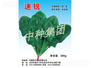 ���J-���˷N��-�зN���F