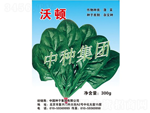 ���D-���˷N��-�зN���F