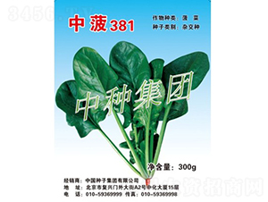 �в�381-���˷N��-�зN���F