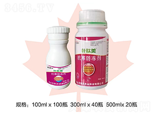 ����������-�~����-��˼��