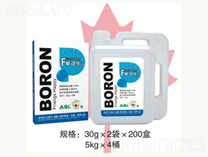 ���w��-��Ә�-��˼��