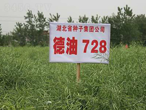 ����728-�Ͳ˷N��-���r�l