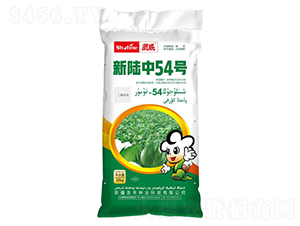 �����54̖-�޻��N��-ʥ�S�N�I