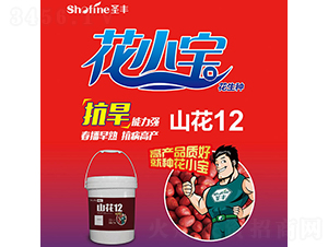 ɽ��12-�����N��-ʥ�S�N�I