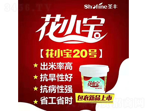 ��С��20-�����N��-ʥ�S�N�I