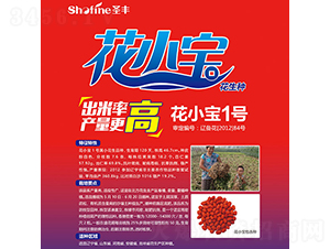 ��С��1̖-�����N��-ʥ�S�N�I