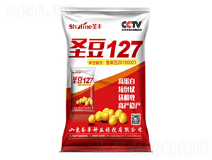 圣豆127-大豆種子-圣豐種業