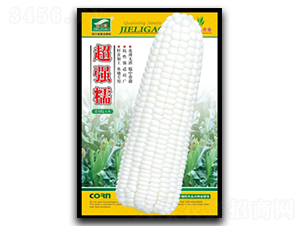 ����Ŵ-Ŵ���׷N��-ȫ�d�N�I