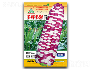 ���Ѷ��-Ŵ���׷N��-ȫ�d�N�I