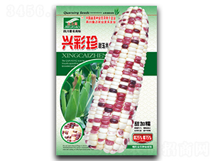 �d����-Ŵ���׷N��-ȫ�d�N�I