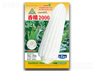 ��Ŵ2000-Ŵ���׷N��-ȫ�d�N�I