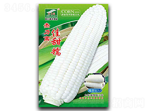 ����Ŵ-Ŵ���׷N��-ȫ�d�N�I