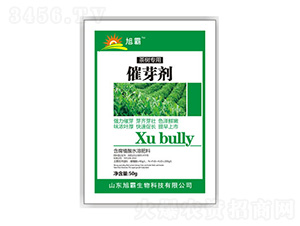 ��ѿ��-�������