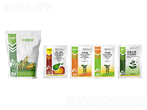 �����ײ�-һ���-�������r