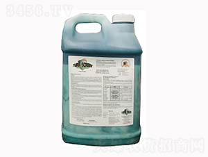 TS����-¡�ꠖ