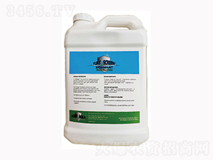 TS������-¡�ꠖ