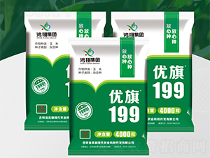 優旗199-玉米種子-鴻翔種業