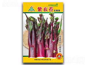 ����̦-��̦�N��-ȫ�d�N�I