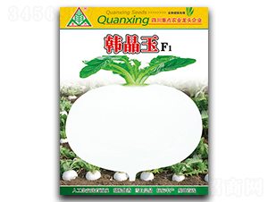 �n����-�}���N��-ȫ�d�N�I