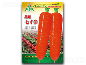 �����ߴ煢-�}���N��-ȫ�d�N�I