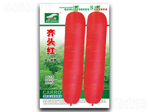 �R�^�t-���}���N��-ȫ�d�N�I