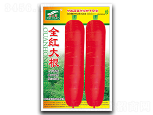 ȫ�t���-���}���N��-ȫ�d�N�I